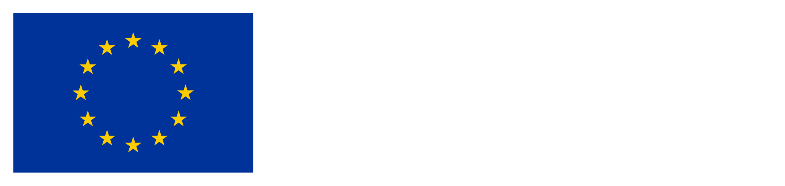 FI_Co-fundedbytheEU_RGB_NEG
